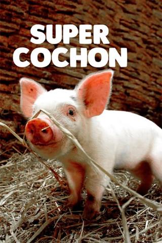 Super cochon poster