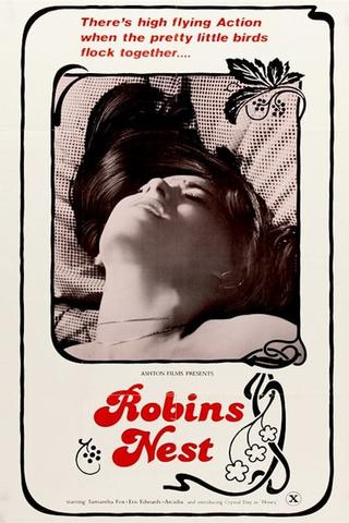 Robin's Nest poster
