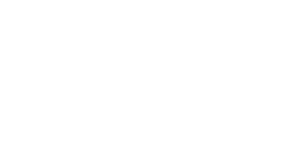 Dog Whisperer logo
