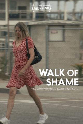 Walk of Shame poster