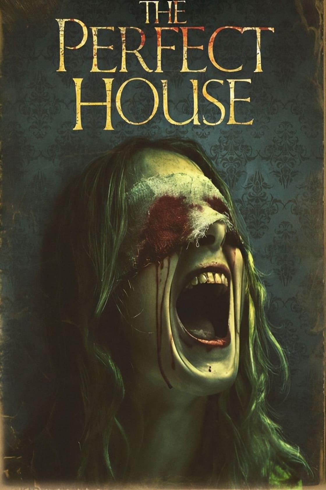 The Perfect House poster