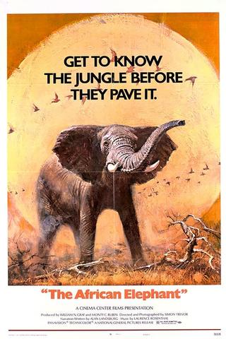 The African Elephant poster