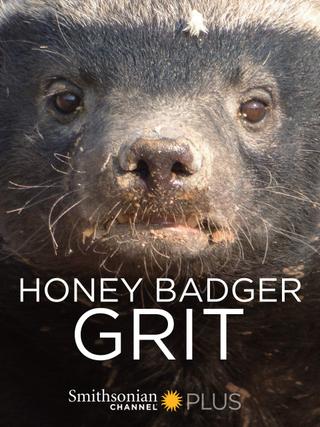 Honey Badger: Grit poster