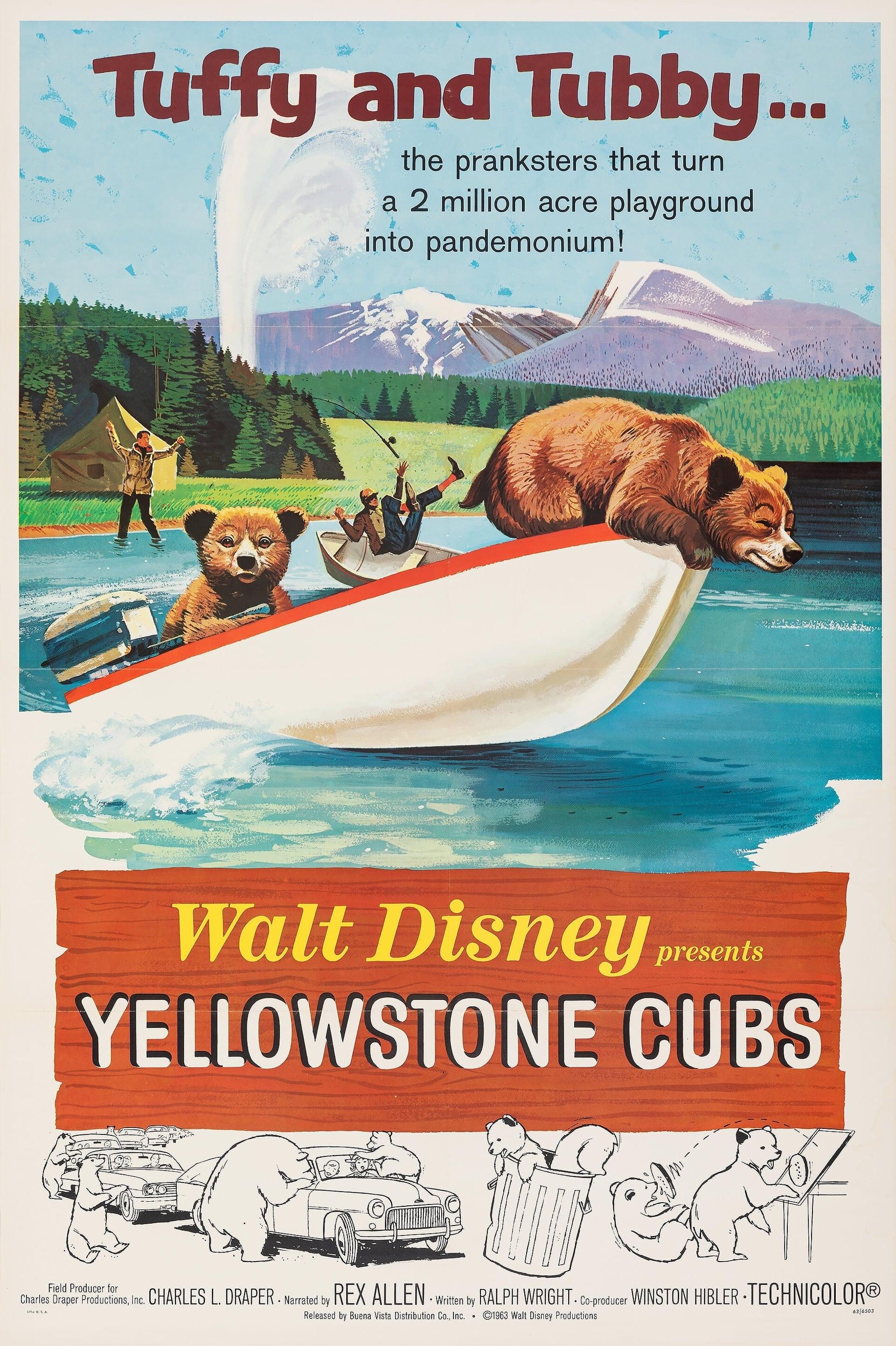 Yellowstone Cubs poster