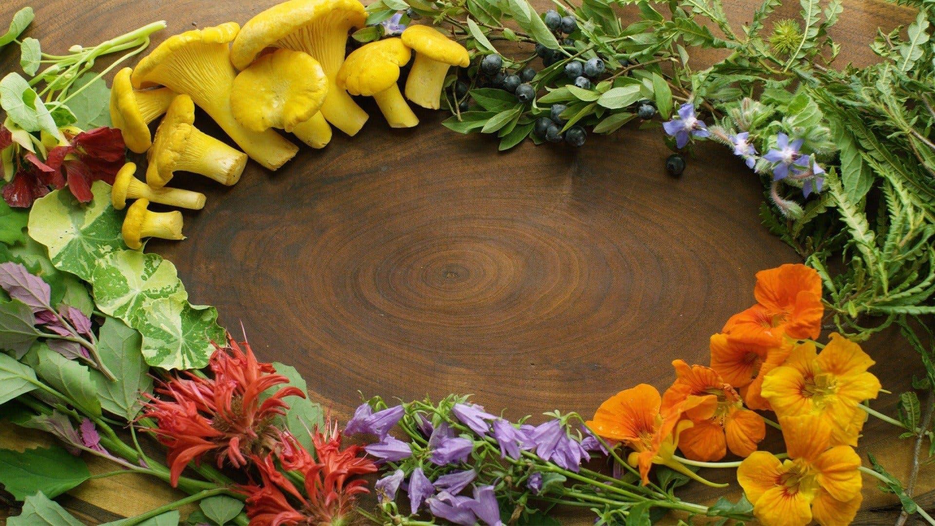 Field, Forest, Feast backdrop