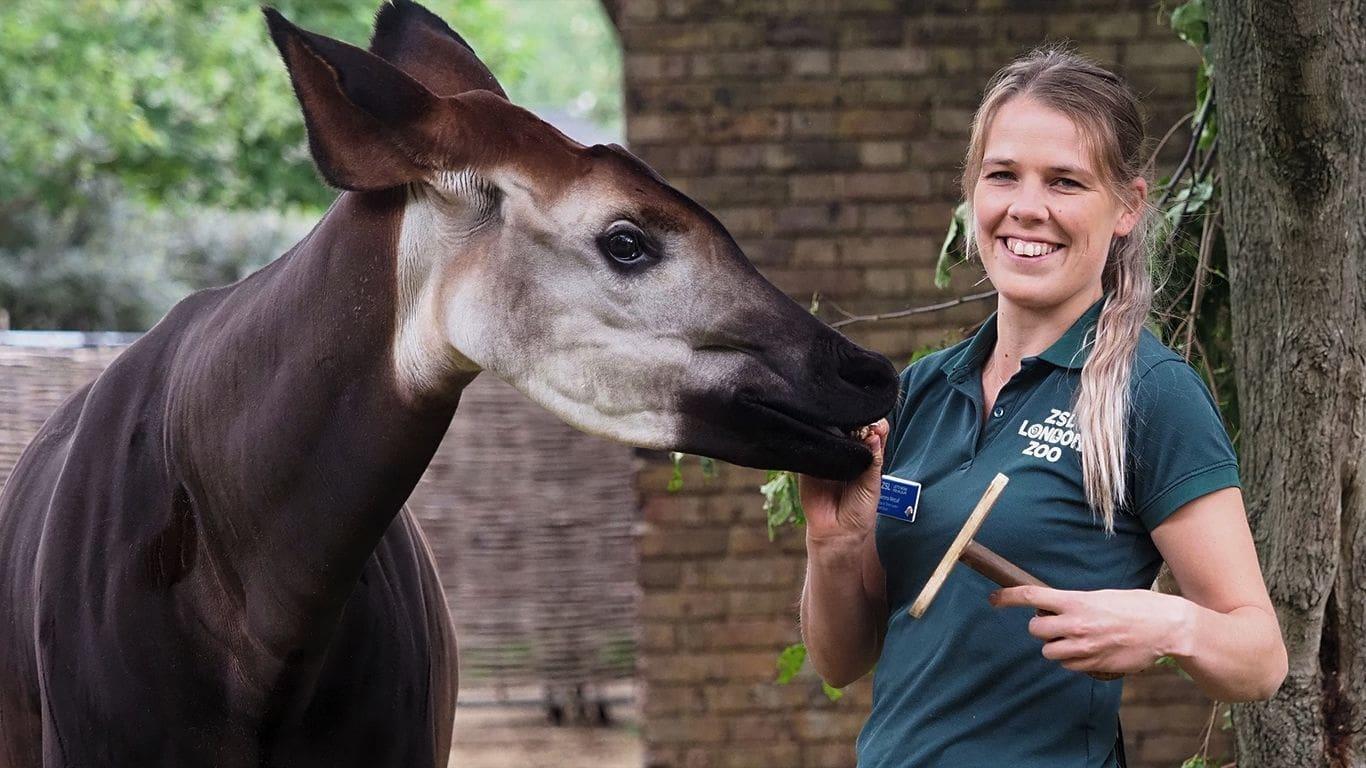 London Zoo: An Extraordinary Year backdrop