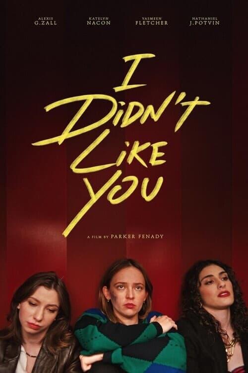 I Didn't Like You poster