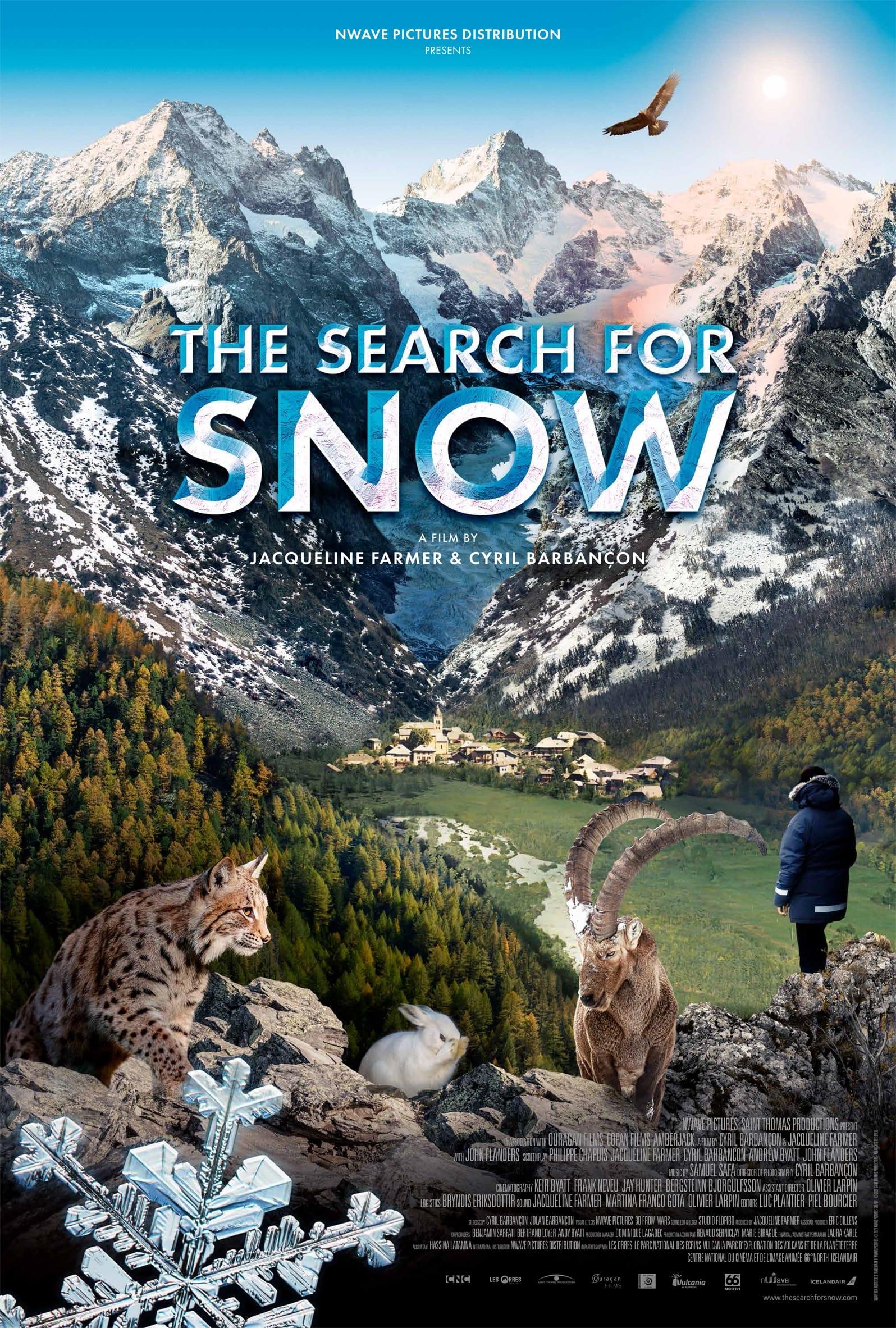 The Search for Snow poster
