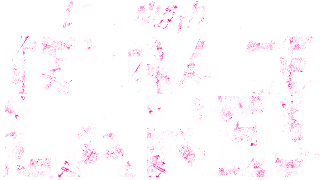 Last Night at Terrace Lanes logo