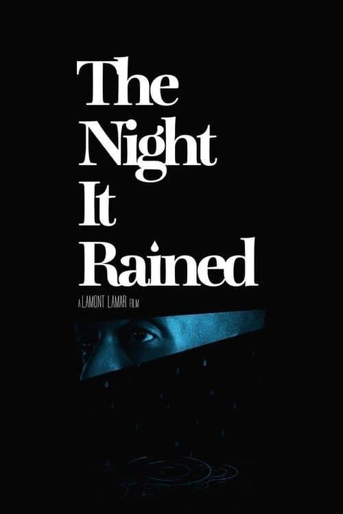 The Night It Rained poster