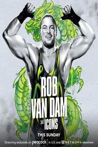 WWE Icons: Rob Van Dam poster