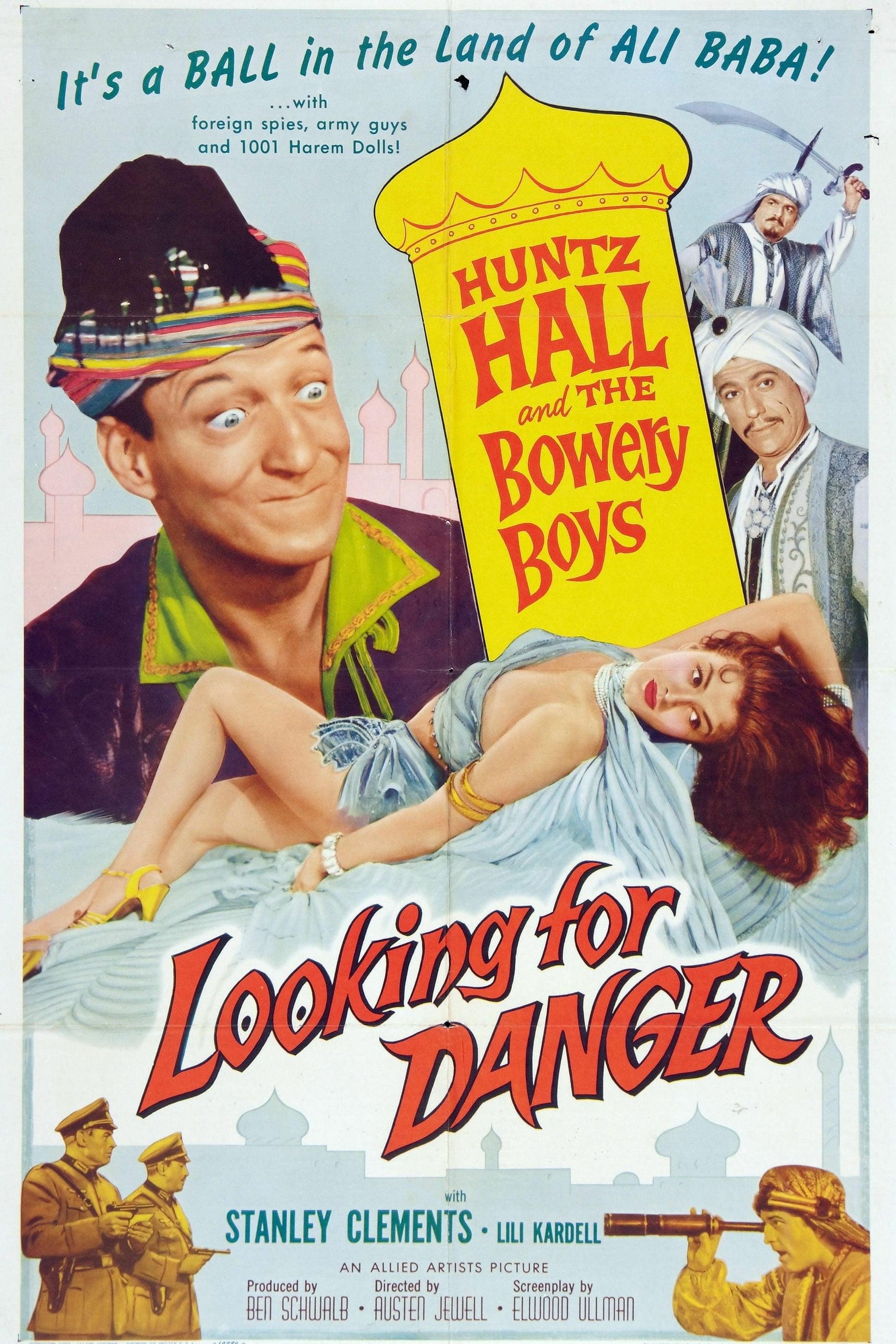 Looking for Danger poster