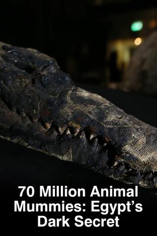 70 Million Animal Mummies: Egypt's Dark Secret poster