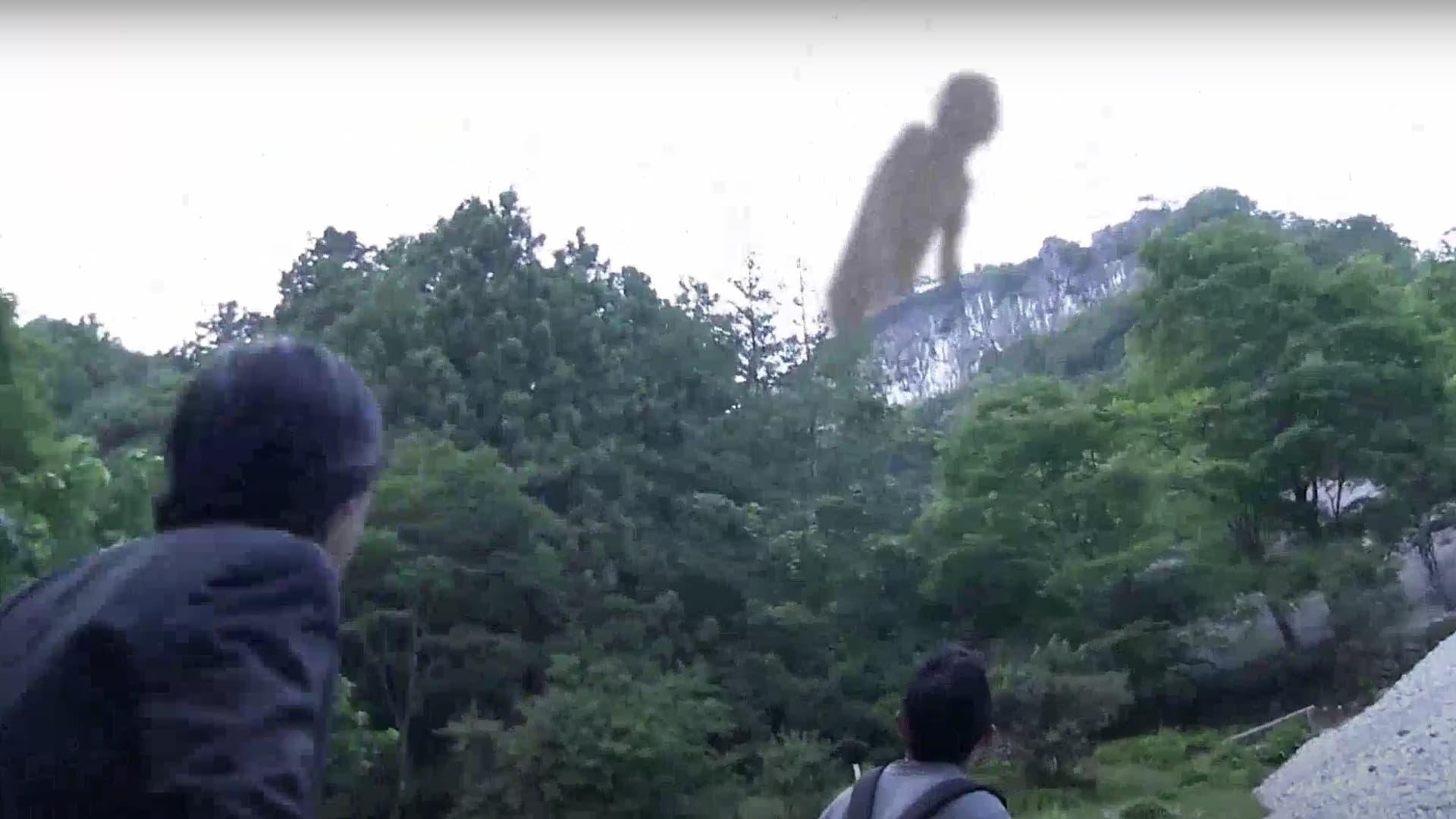 Senritsu Kaiki File Kowasugi! The Most Terrifying Movie in History backdrop