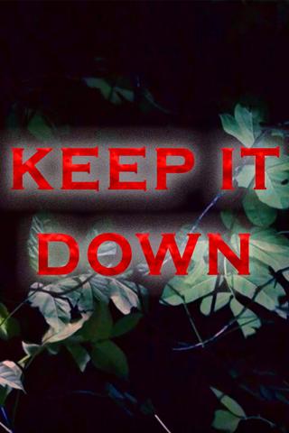 Keep It Down poster