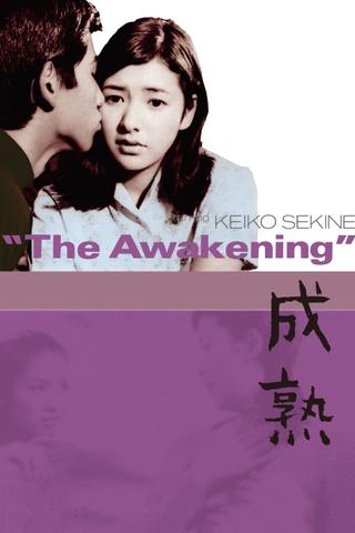 The Awakening poster