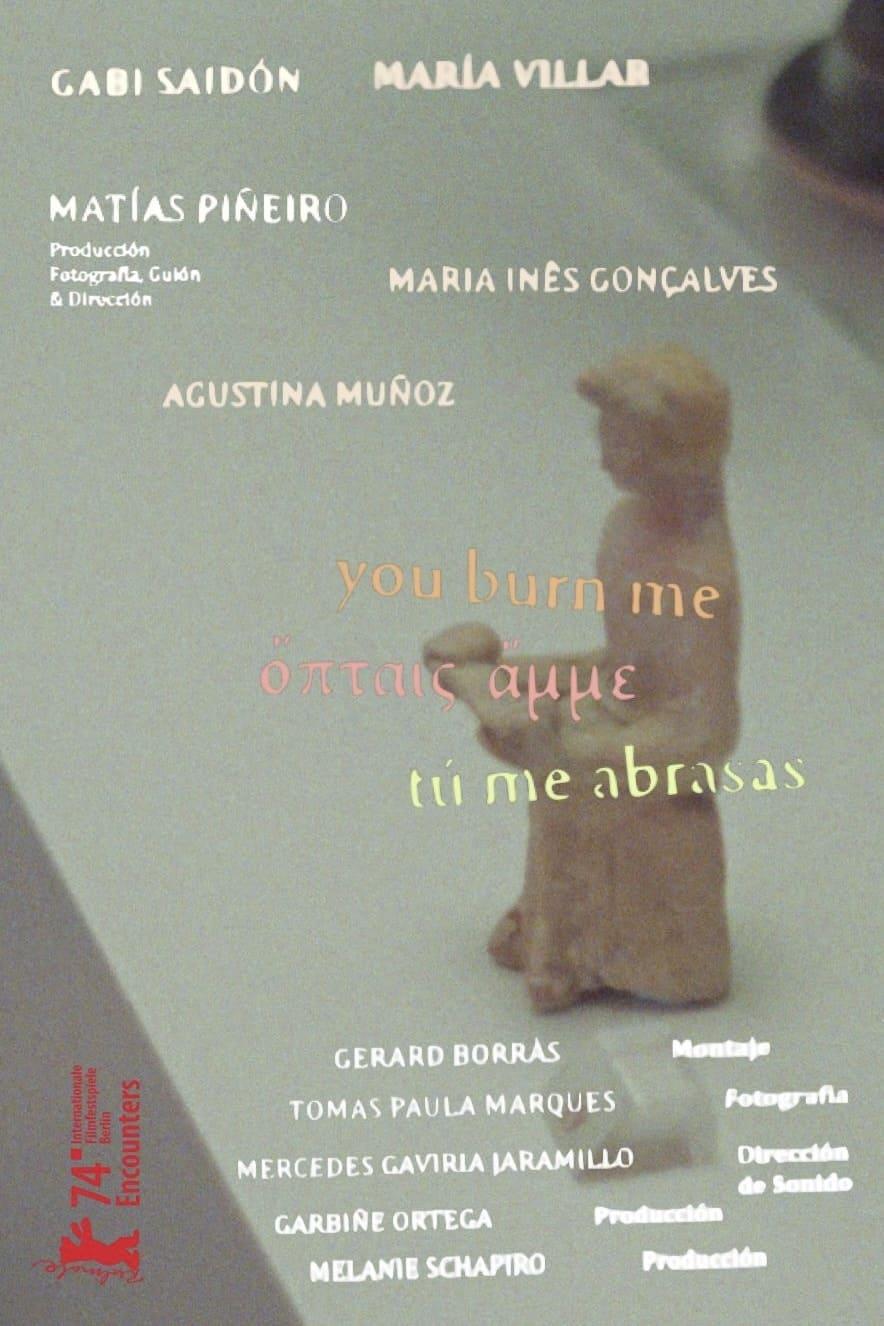 You Burn Me poster