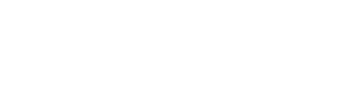 The Wingless Bird logo