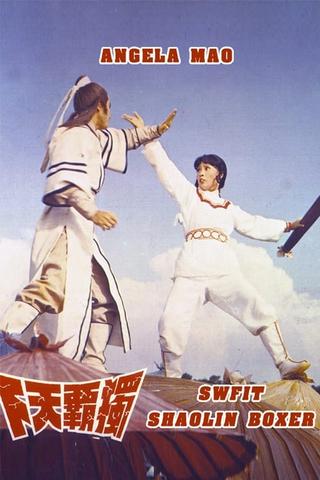 Swift Shaolin Boxer poster