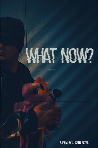 What Now? poster