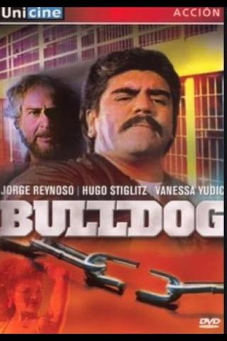 Bulldog poster