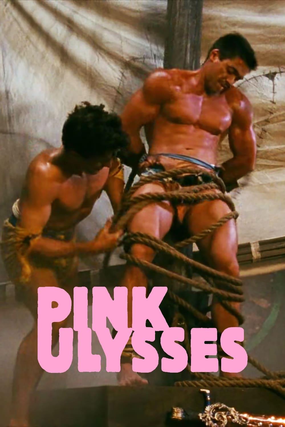 Pink Ulysses poster