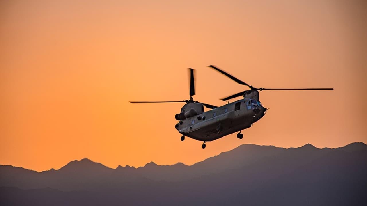 Above the Best backdrop