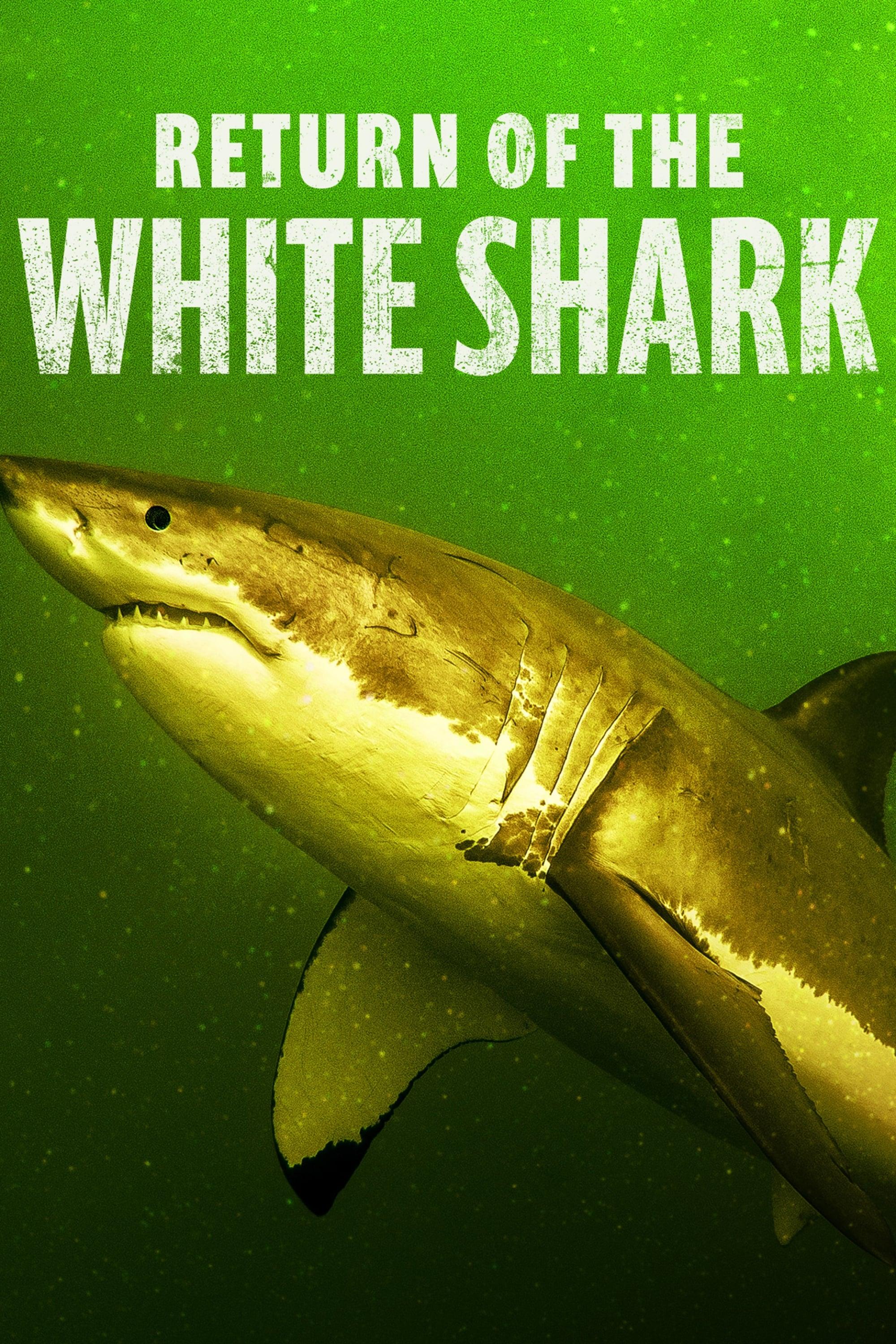 Return of the White Shark poster