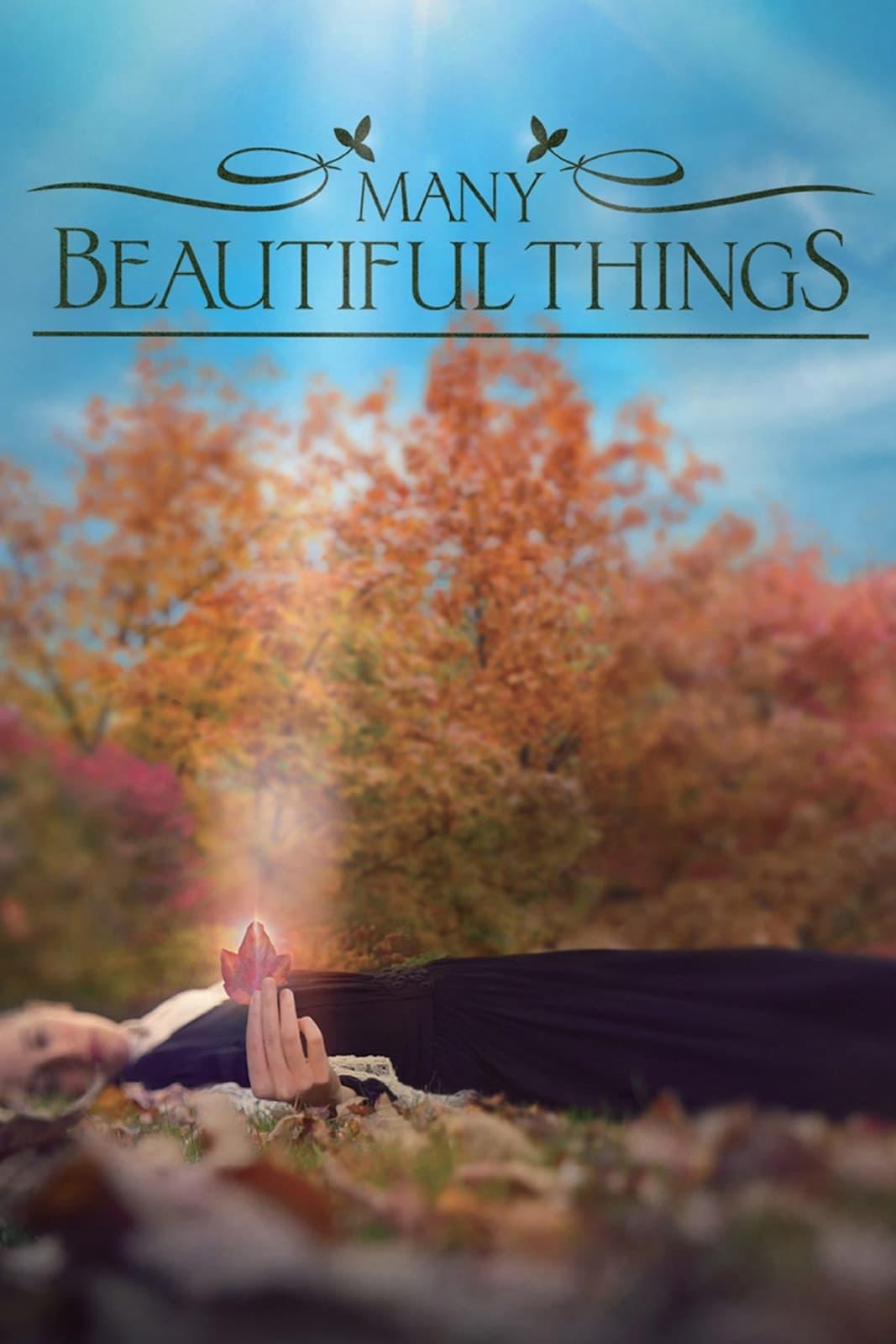 Many Beautiful Things poster