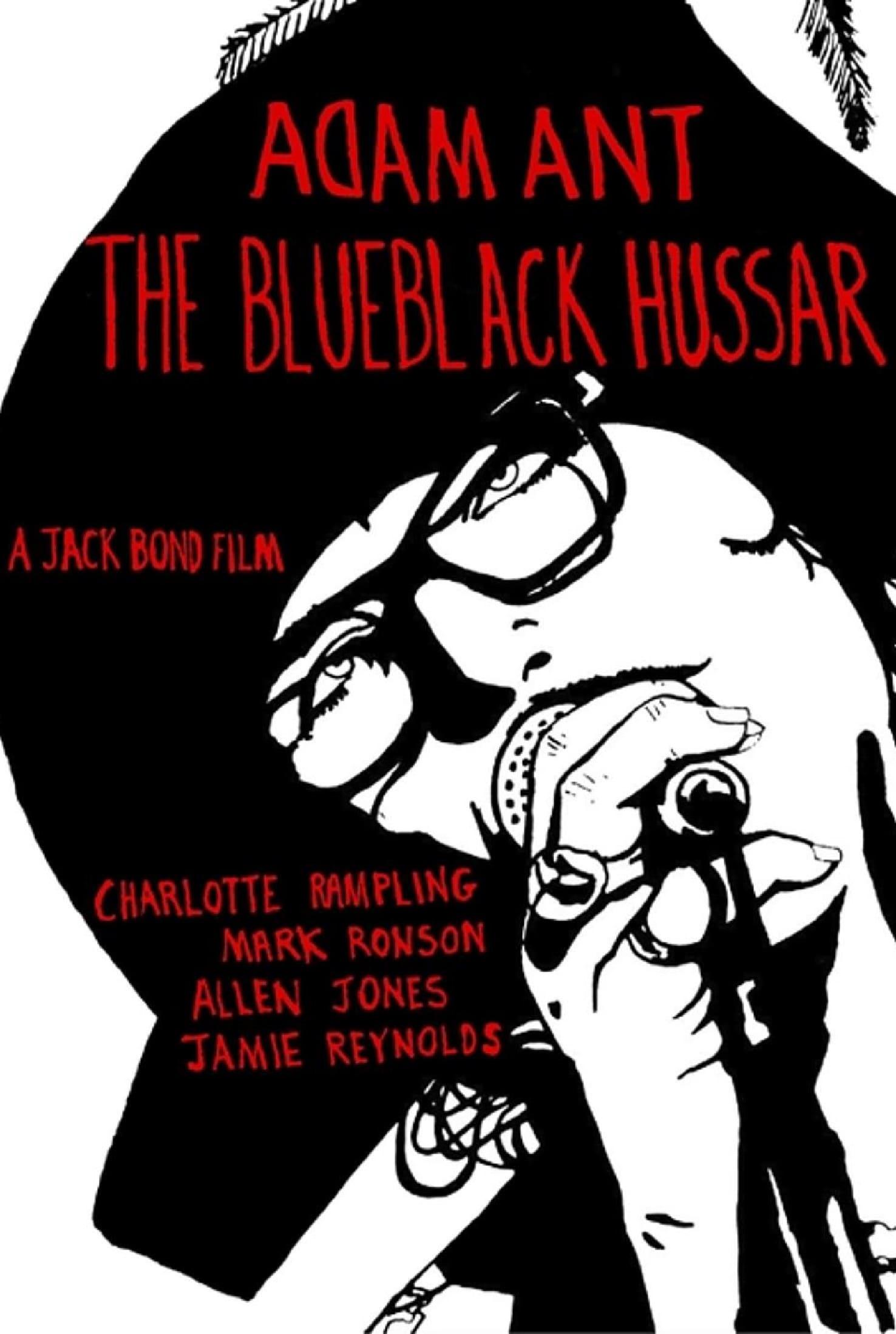 Adam Ant: The Blueblack Hussar poster