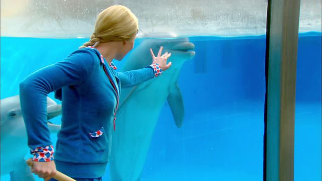 Mega Mindy en de Dolfijnendiefstal backdrop