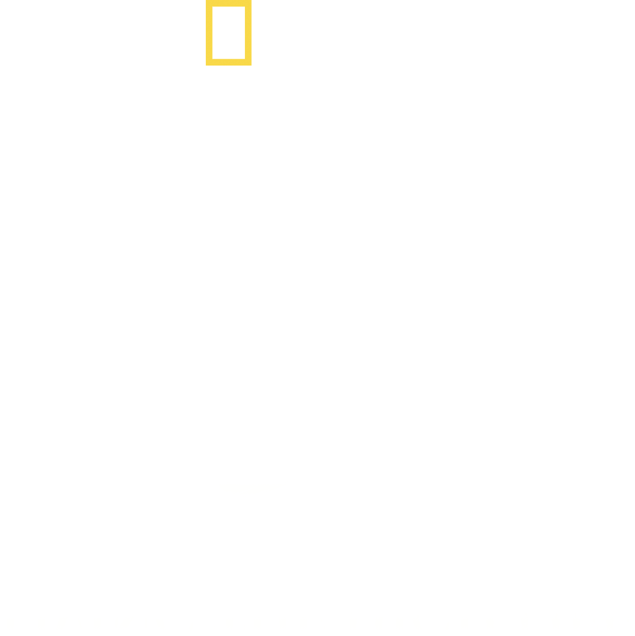 King Of Coke: Living The High Life logo