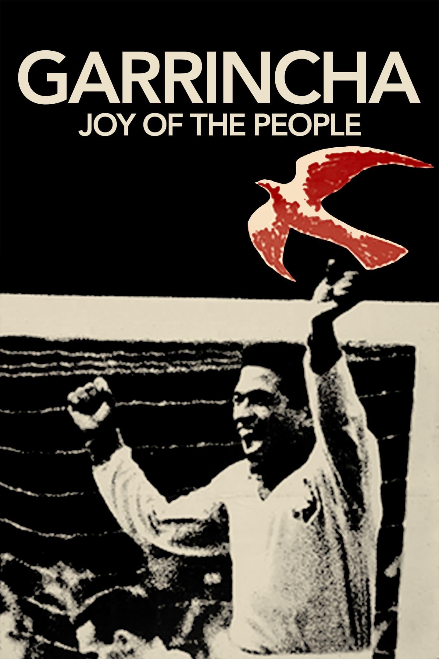 Garrincha: Joy of the People poster