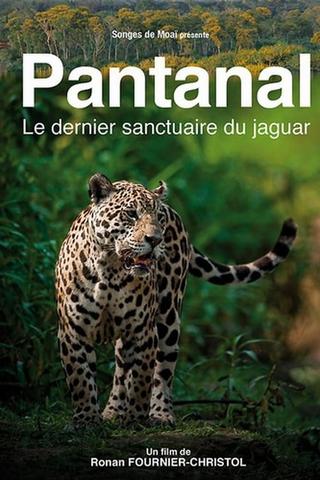 Pantanal, le dernier sanctuaire du jaguar poster