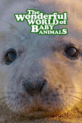 The Wonderful World of Baby Animals poster