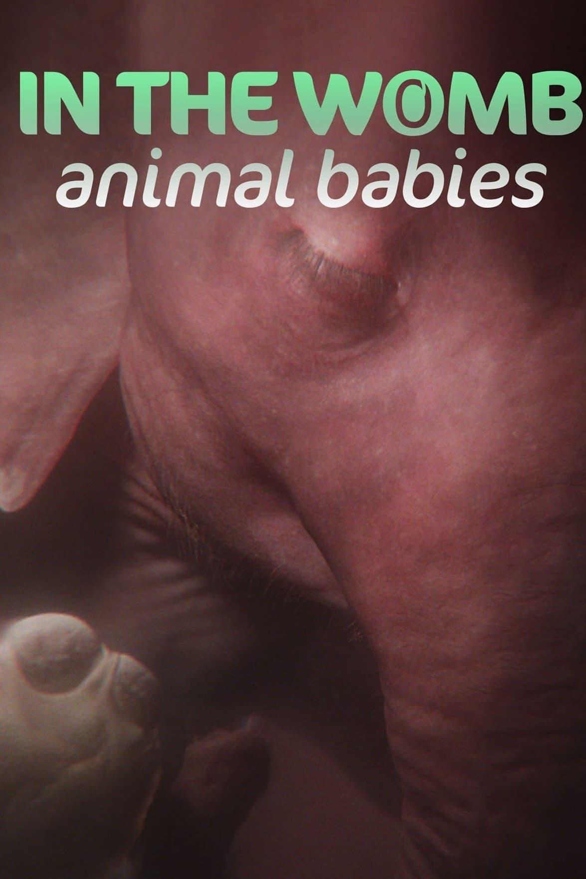 In the Womb: Animal Babies poster
