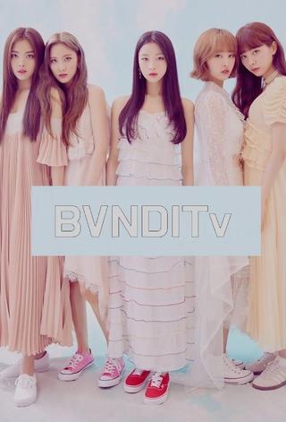 BVNDITv poster