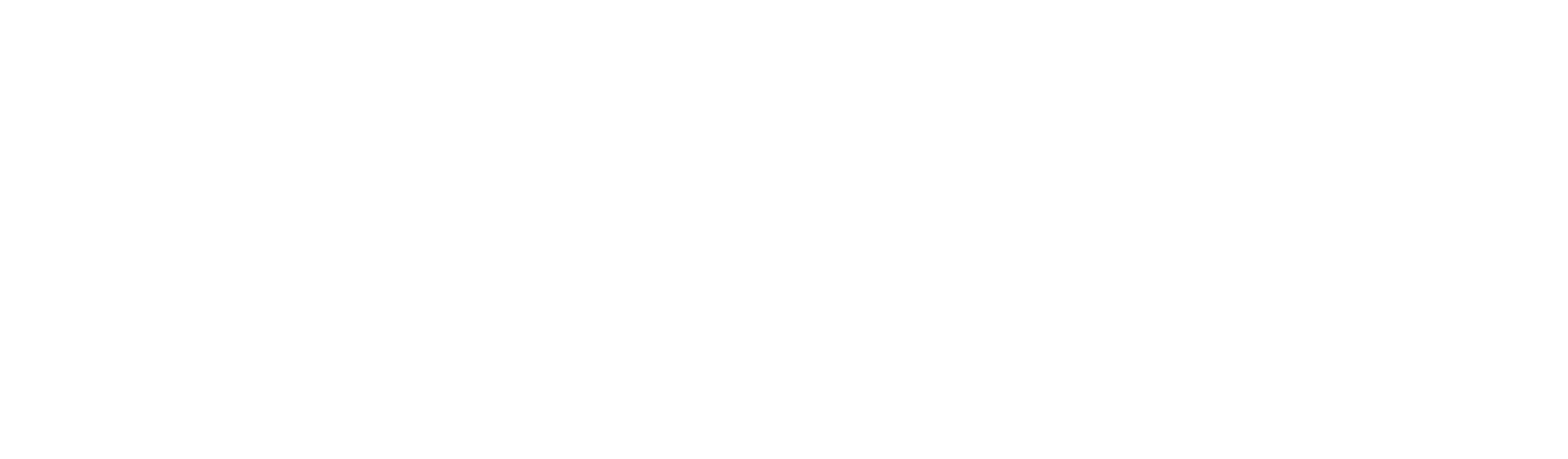 Brothers Take New Orleans logo