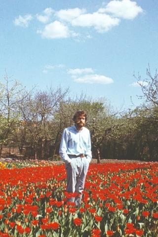Tulip Field poster
