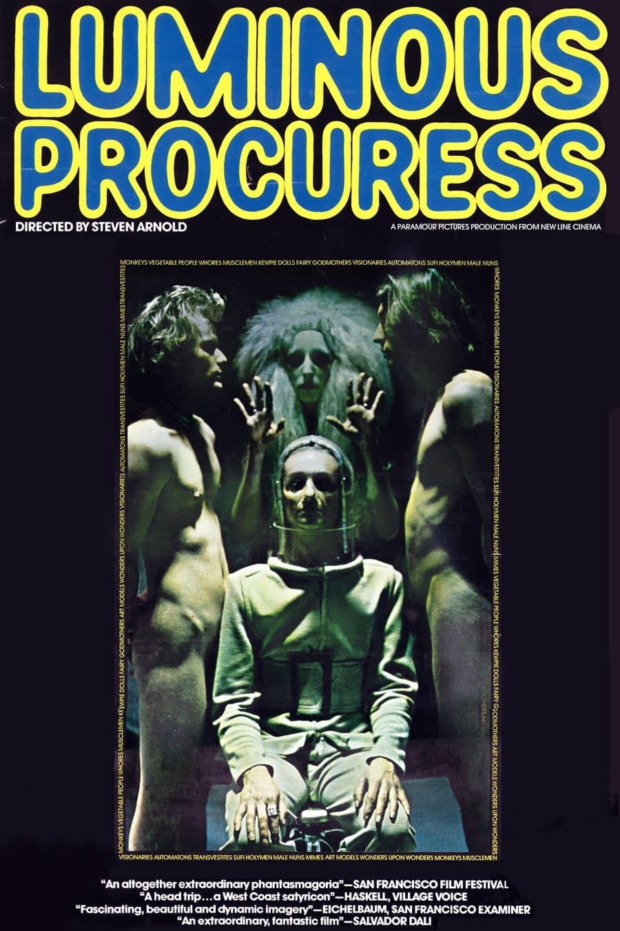 Luminous Procuress poster