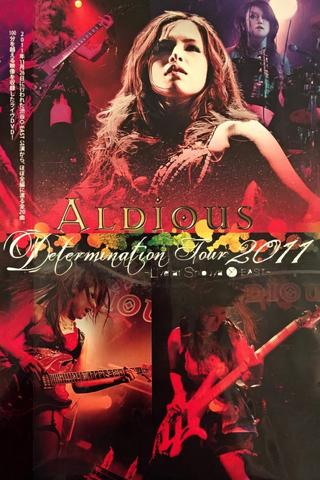 Aldious - Determination Tour 2011 poster