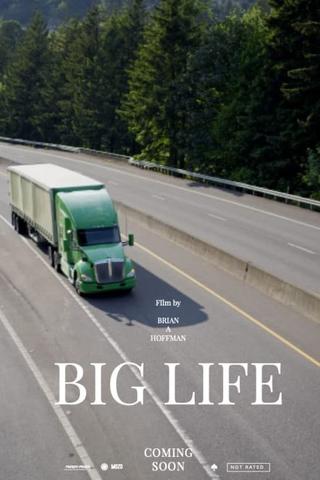 Big Life poster