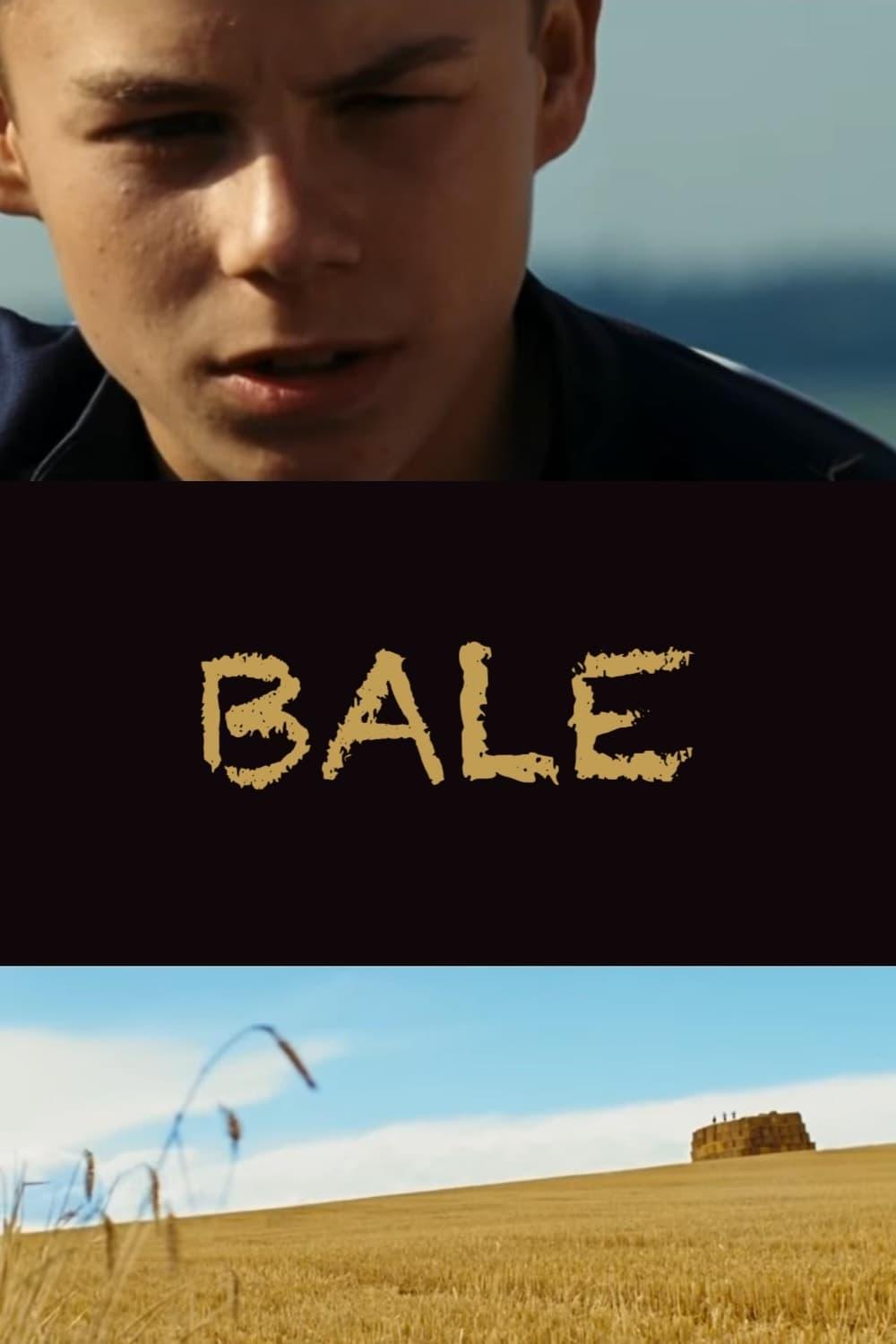 Bale poster