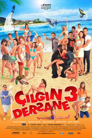 Çılgın Dersane 3 poster