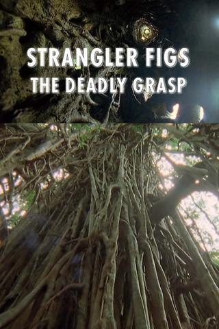 Strangler Figs: The Deadly Grasp poster