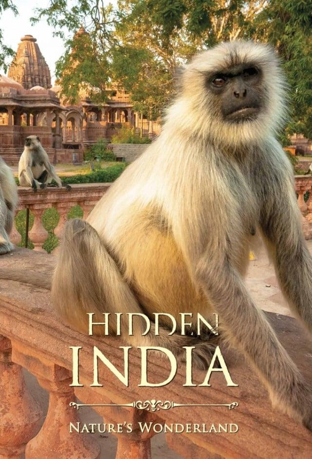 Hidden India poster