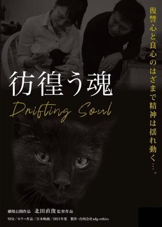 Drifting Soul poster