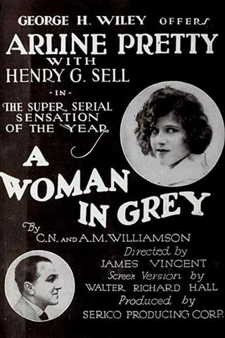 A Woman in Grey poster