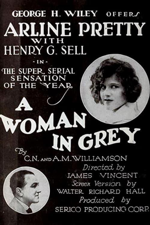 A Woman in Grey poster