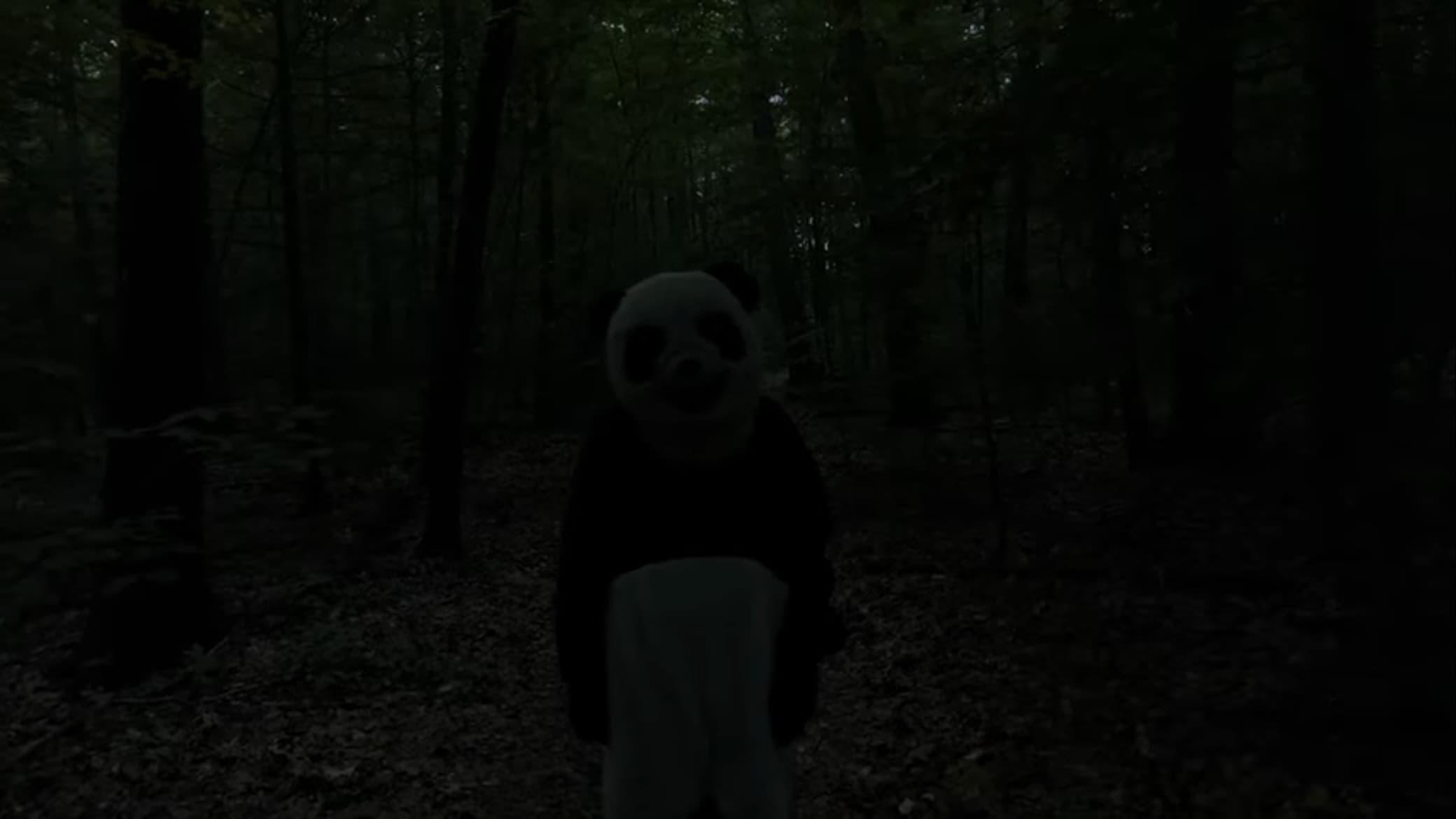 The Wild Panda backdrop